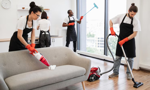 professional cleaning service brisbane